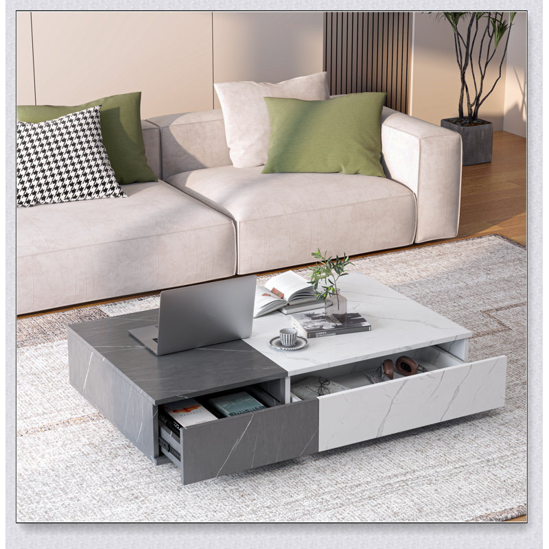 Table basse de style moderne avec deux espaces de rangement