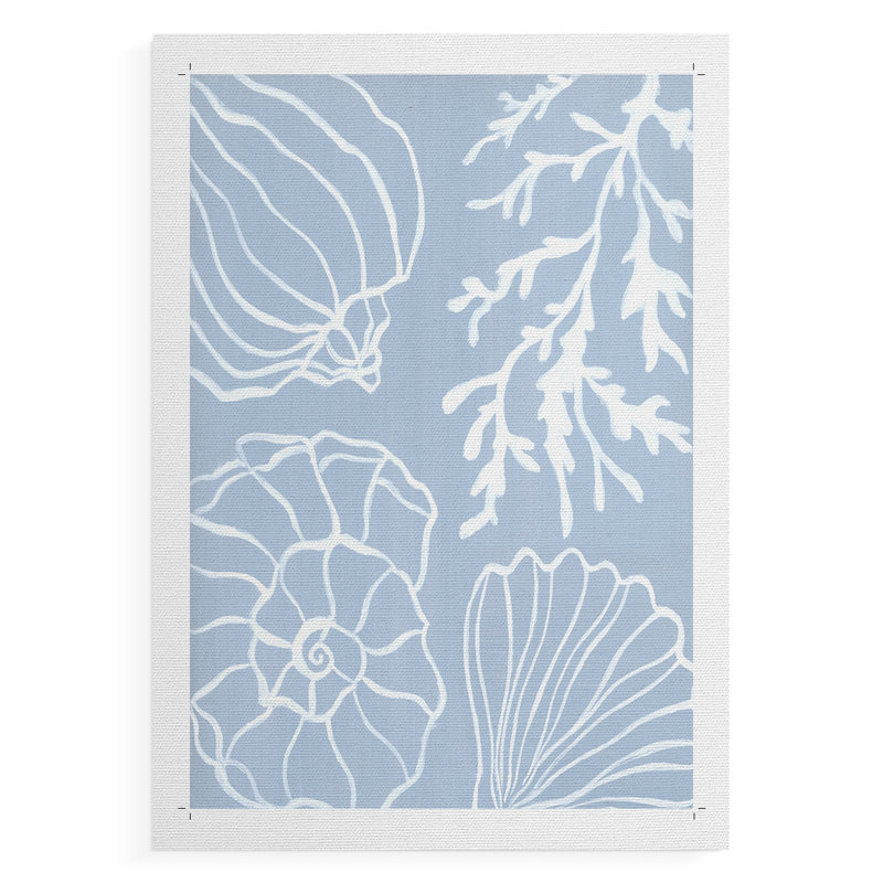 Shell Silhouettes II  -Canvas Print Only - NOT FRAMED