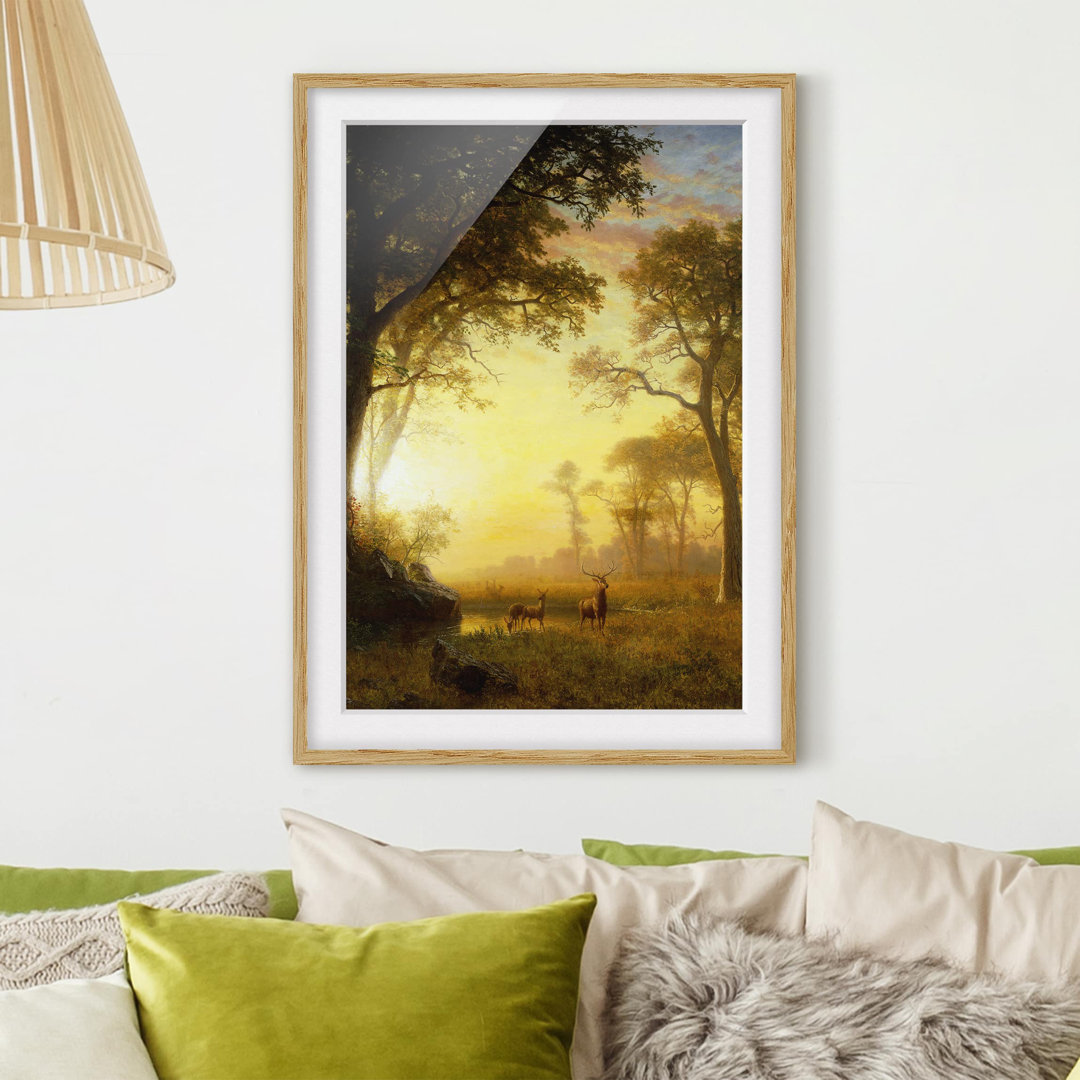 Gerahmtes Poster Sunlit Clearing