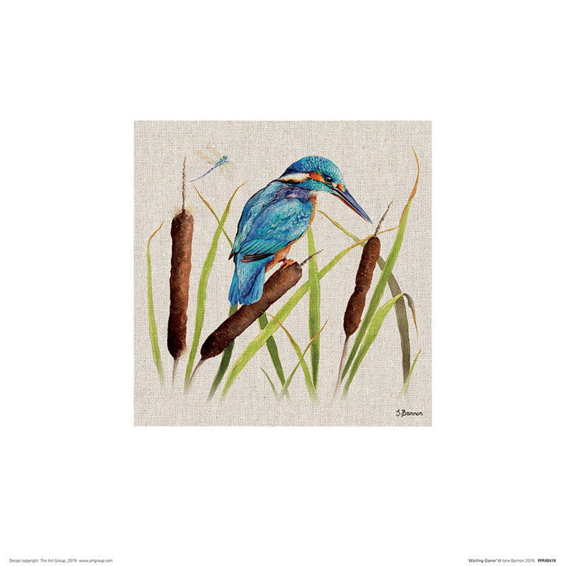 Waiting Game by Jane Bannon - No Frame Painting