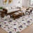 Premium Machine Washable Dream Shag ADS169 Grapes and Wine Rug-988454545