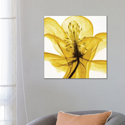 An Open Heart (Yellow) by Liz Jardine - Wrapped Canvas Painting