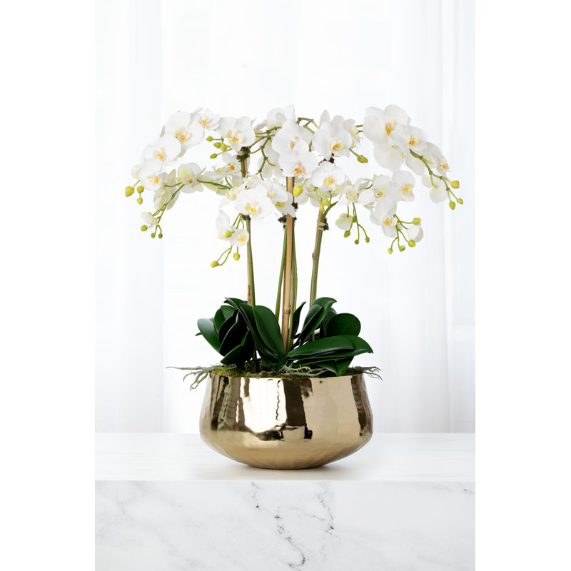 Orchid Floral Arrangements in Planter
