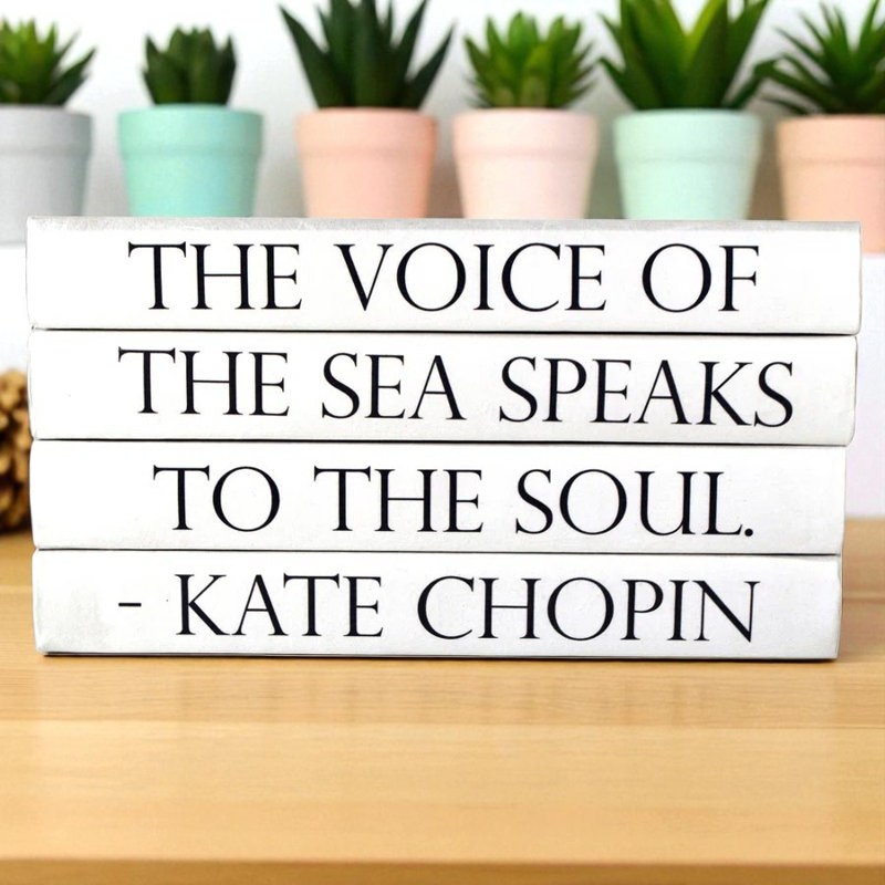 Ensemble de livres décoratifs 4 pièces âme quoted quoted quot