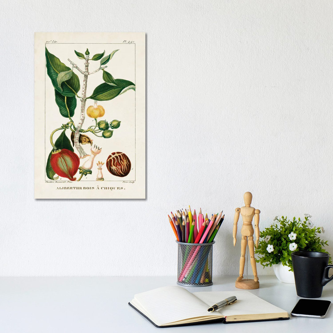 Turpin Foliage & Fruit III von Turpin - Galerie-umwickelte Leinwand Giclée auf Leinwand