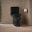 Toilette allongée écoénergétique Reach ™ 1,28 GPF-107149308