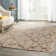 Paulson Area Rug