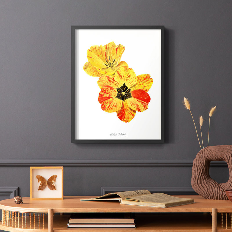 Olive's Tulips I, reproduction encadrée - bois massif, Noir, H 28 po x l 22 po