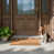 Basset hounds