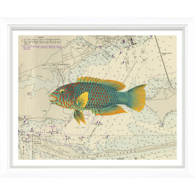 Vibrant Fish 6 Giclee Print