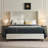 Mozter Upholstered Wingback Bed No Box Spring Needed-1680021732-1728079804