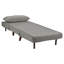 Trahan 1 Seater Fold Out Sofa Bed-1552458295-1515450123