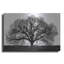 «The Tree» par John Jones-1754894808