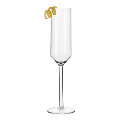 ChampagneModern 6 oz. Flute Set