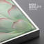 «Southwest Desert Succulent Nature Wilderness Realism», ensemble de 2 impressions encadrées sur toile-85484260-85484263
