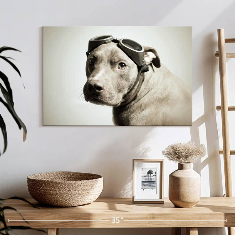 Brampt Aviator Pit Bull, 30" H x 45" W