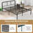 Virgel Metal Open-Frame Bed-827170552