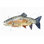 «Watercolor Rainbow Trout II» par Emma Caroline - reproduction