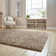 Lori Beige Rug