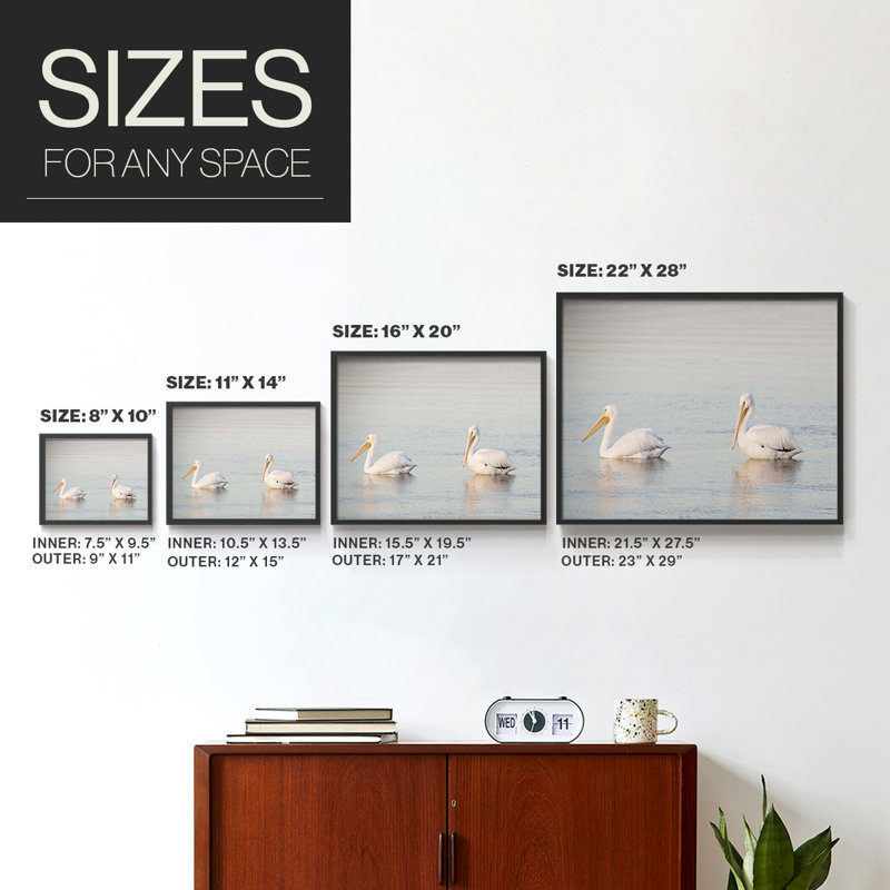 Pelican Pals -Framed Print - Restickable, H 11 po x l 14 po, Noir, noir, noir, noir