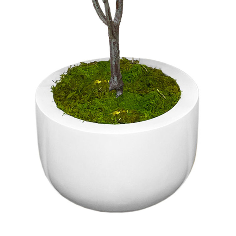 Hydrangea Tree in Round Fiberstone Planter