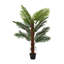 Plant-1322787651