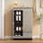 Cabinets | Modern Mirrored Double Door Shoe Storage Cabinet, Walnut Brown Finish, Brushed Silver Edging, Adjustable Compartments | Glass,MDF | Entryway