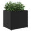 Planter Box