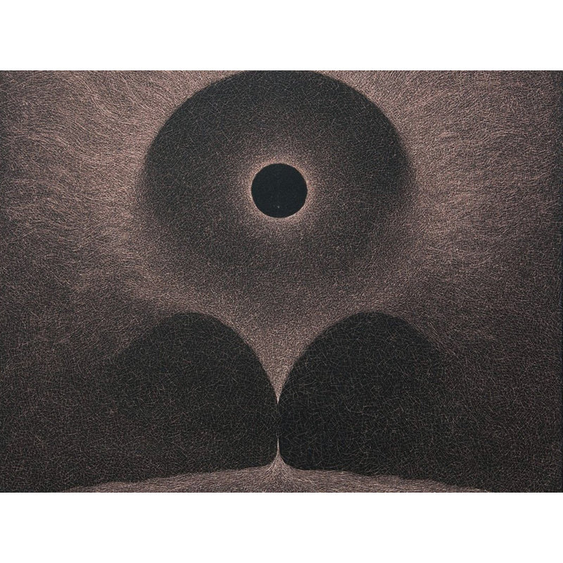 Série Vaishvanara | Acrylique sur toile | Devulapalli Hanumantha Rao