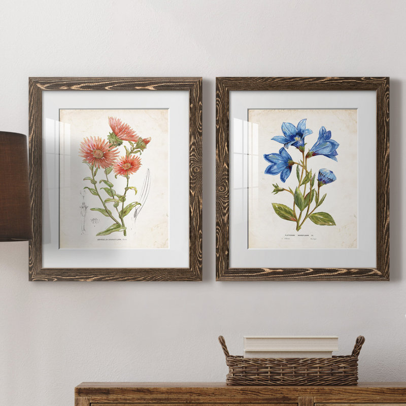 «Botanical I», ensemble de 2 reproductions d'art, Blanc, H 24 po x l 36 po x P 1,5 po, Papier, cadre noyer