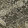 Premium Machine Washable Cerrito Coffee Rug