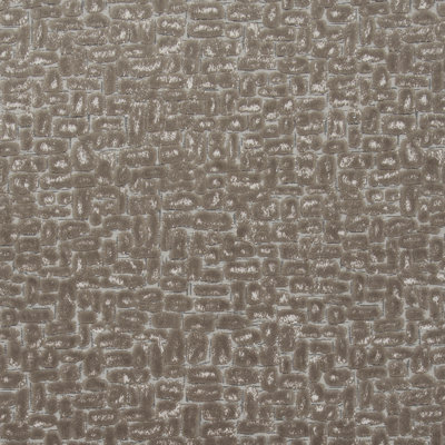 Clarke and Clarke Moda Fabric