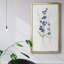 Fresh Cut Lavender I - peinture sur toile encadrée-259125499-259125501