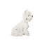 Animals Bust
