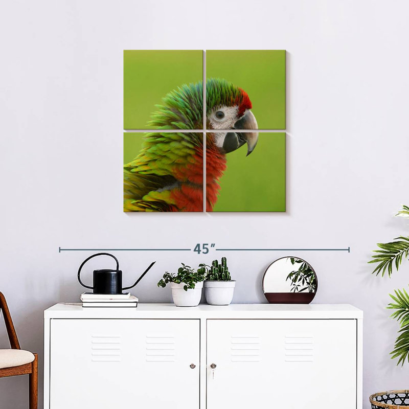 Brampt Macaw Bird Head, 26" H x 26" W