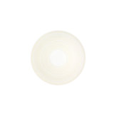 Ivory Porcelain Dinner Plate