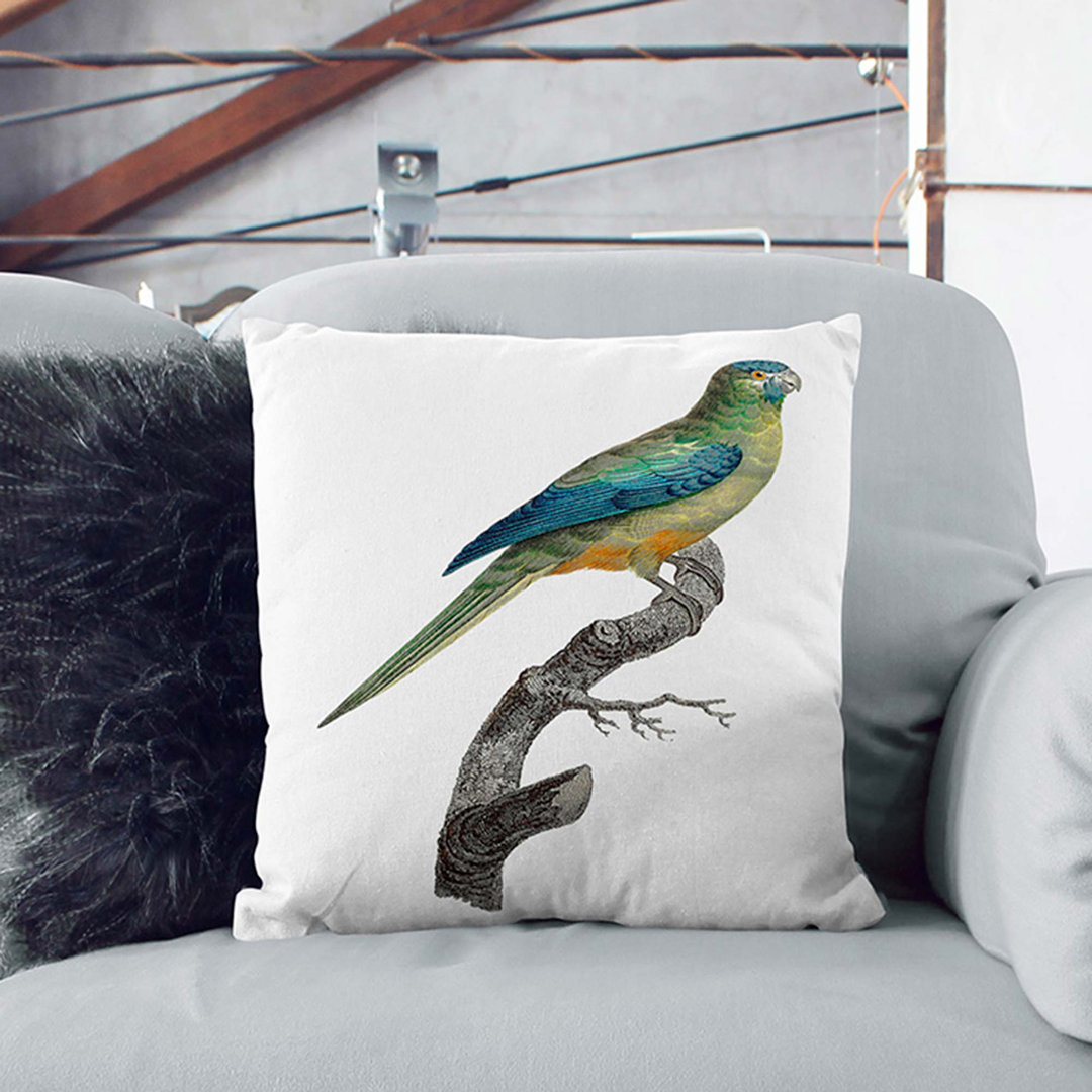 Ground Parakeet by F. Levaillant Cushion with Filling