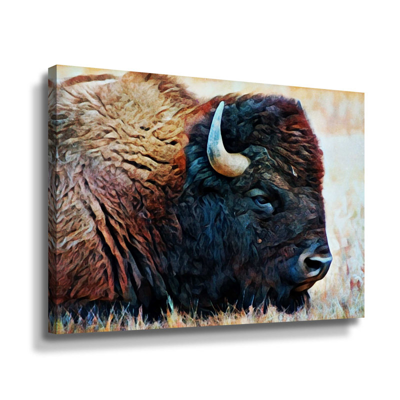 «American Bison Resting» par Aldridge, impression sur toile, Toile tendue, H 24 po x l 32 po x P 2 po