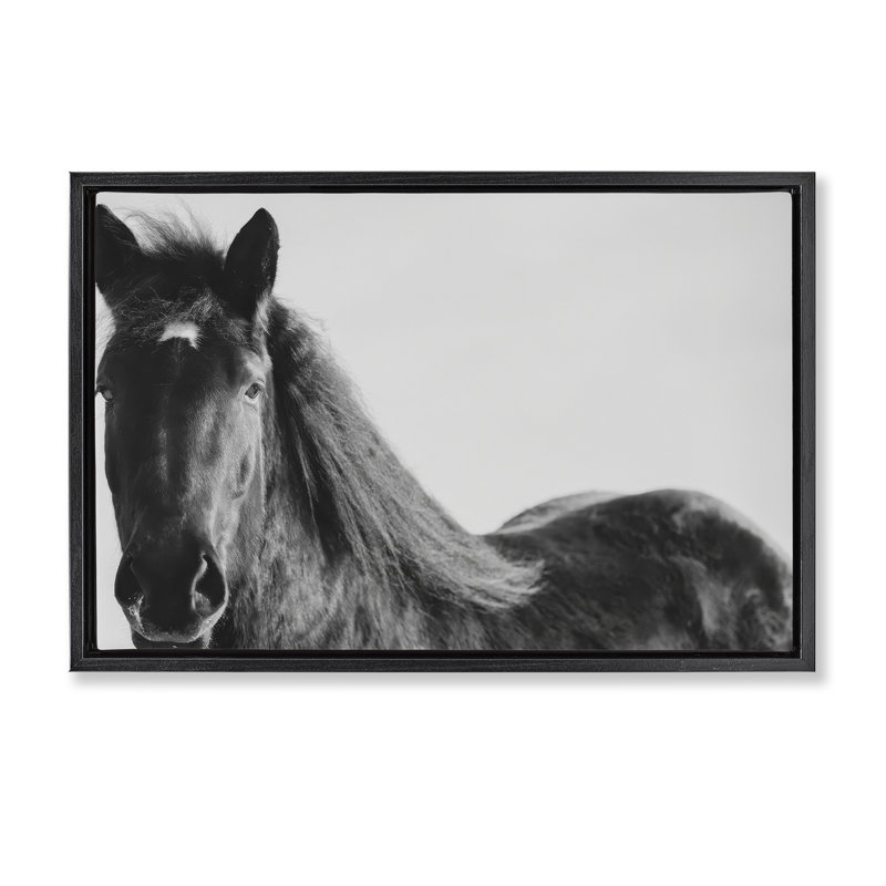 Cheval noir dans un cadre flottant d'hiver, design par Amy Carroll, H 17 po x l 25 po, Cadre flottant noir de jais
