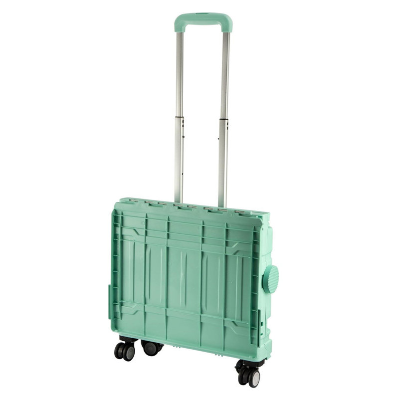 Rebrilliant Plastic Storage Tub & Tote, Green