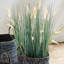 Herbe artificielle 35 po Queensland