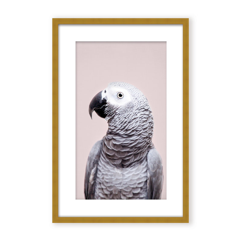 Nature Inspired African Gray by  - Picture Frame Photograph on Paper, 48" H x 32" W x 2.375" D, Framed Canvas, Beige