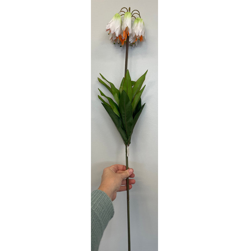 Fleurs de cloche