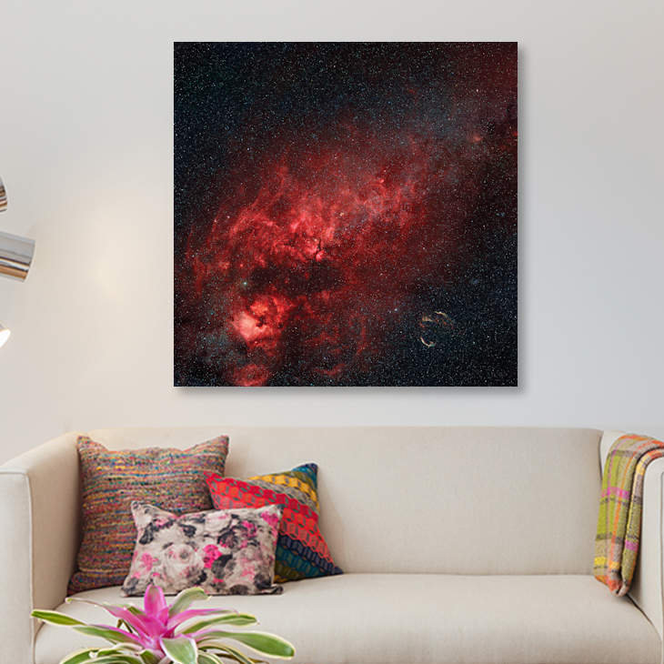 «Constellation Cygnus With multiple Nebulae Visible» par Rolf Geissinger, impression sur toile tendue, Toile tendue