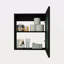 Medicine Cabinet With Mirror Door 20.5" High Cabinet Organizer With Two Interior Shelves For Bathroom, Kitchen, Mudroom-1196058907