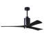 Patricia LED Downrod Ceiling Fan-1248876554-1248882458-1304435245