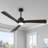 Karlena 60'' Modern Large Dimmable Ceiling Fan with Led Light and Remote, APP, TIimer, Memory-121924528