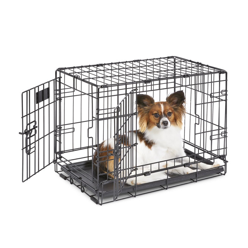 Extra Small Black Double Door Folding Dog Crate