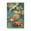 Reflecting Koi I - reproduction sur toile-33519480