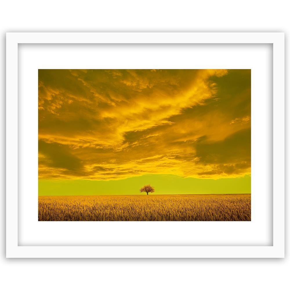 Gerahmter Fotodruck Einzelner Baum im Feld